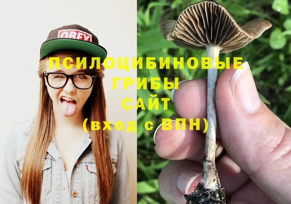 apvp Артём