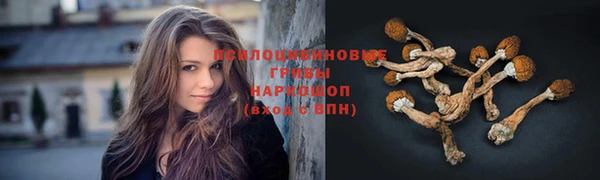 мет Медвежьегорск
