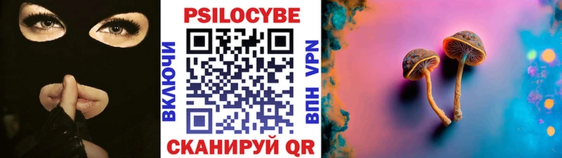 дарнет шоп  Шатура  Галлюциногенные грибы Psilocybe 